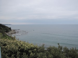 IMG_4372