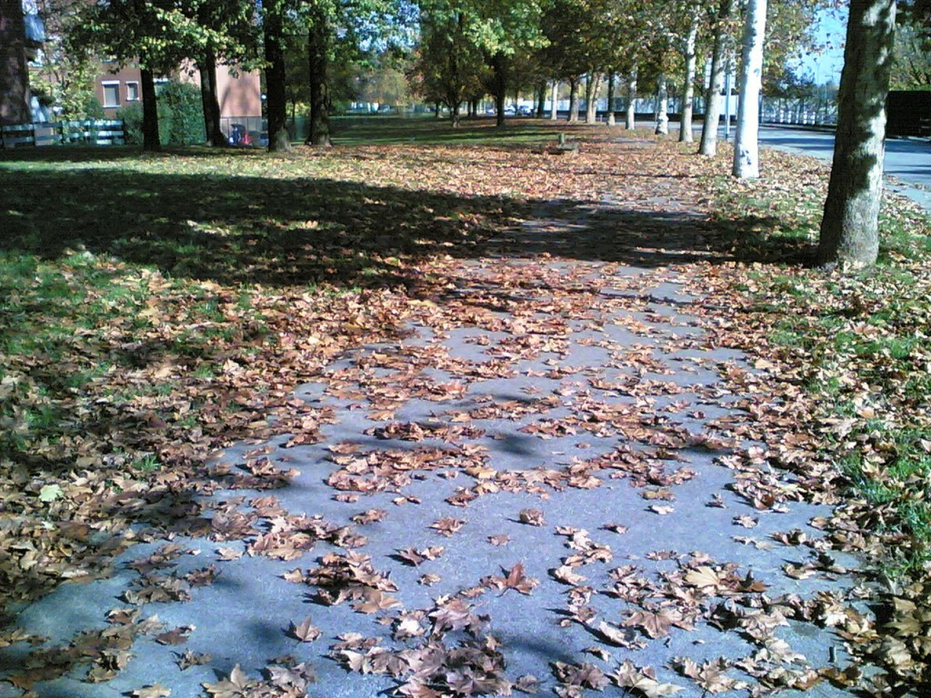 Arese Lavori autunnali 10112011