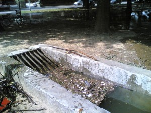 Fontanile Vle dei Platani Arese 01062012(001)