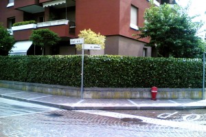 v.s.Anna Arese 20062012(005)
