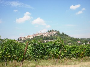 25ago12z Rosignano Monferrato AL