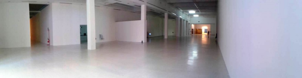 16mar14b SmithTriennale MI