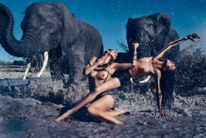 Peter Beard 2009 - foto da internet